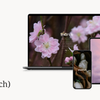 Free March 2026 Wallpapers for iPhone, iPad and MacBook